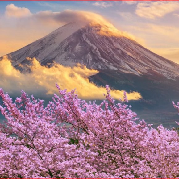 Designer Apple Watchband & Digital Faces -- Cherry Blossom - Picture 4 of 5